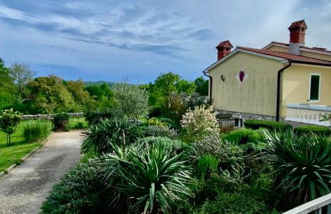 Villa Yucca Istra - Foto 43