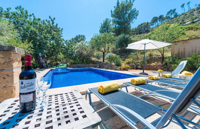 Sa Tarongera in Andratx - Foto 3