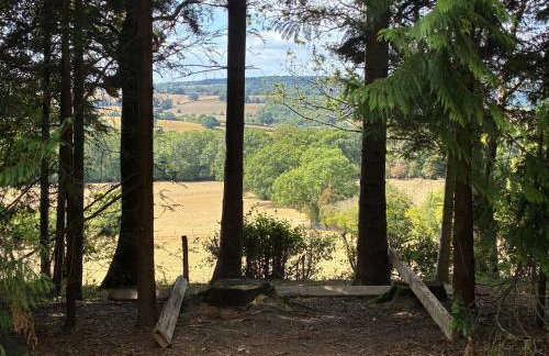 2 Guests - Pet Friendly - Traditional Gypsy Vardo - Foto 6