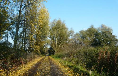 Appartement auf Rügen - Foto 62