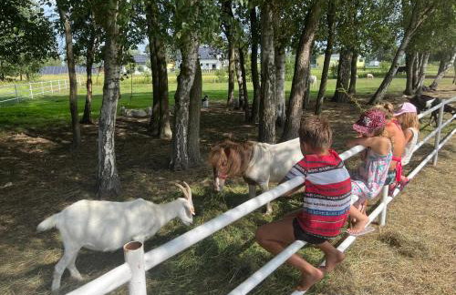 Agroturystyka Pod Brzozami - Foto 17