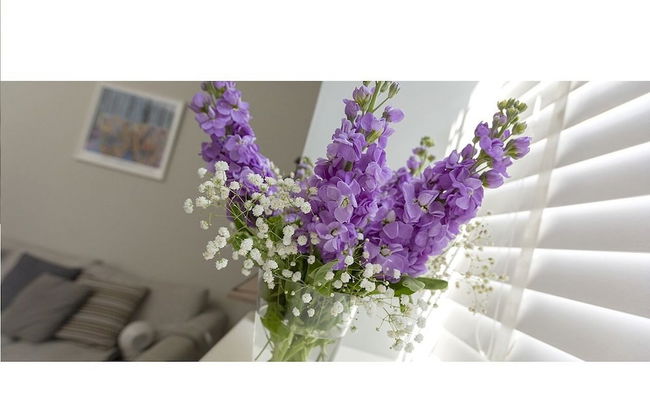 The Lane Apartment - Foto 14