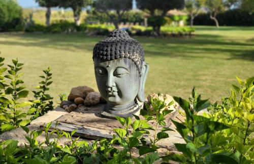 Finca RÚSTICA FELOSTAL Son Soleclau with Sauna & Pool - Foto 6