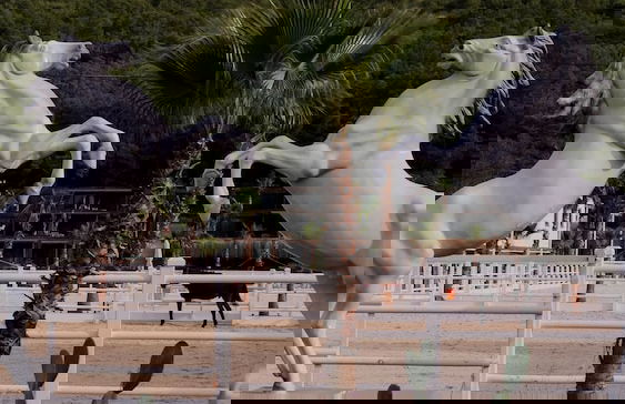 Asha Country - Foto 11