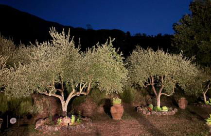 Casale La Quercia - Foto 12