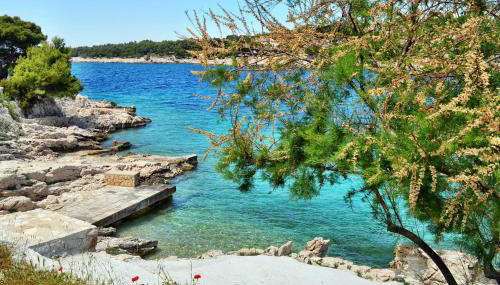 Apartment Bilo 14601a - Photo 4