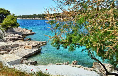 Apartment Bilo 14601a - Photo 4