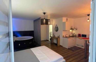 Grand Studio avec Jacuzzi - Foto 22