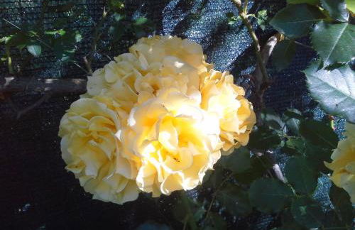 A fine 2 bedroom stone house in Emila - Photo 24