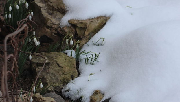 Entrada (vista interior)