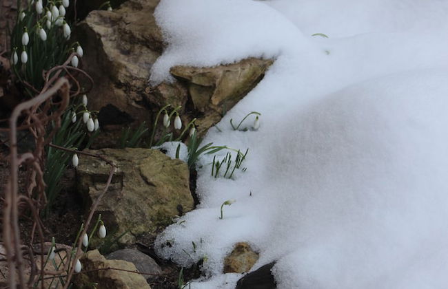 Champêtre Park View Apartments - Foto 2
