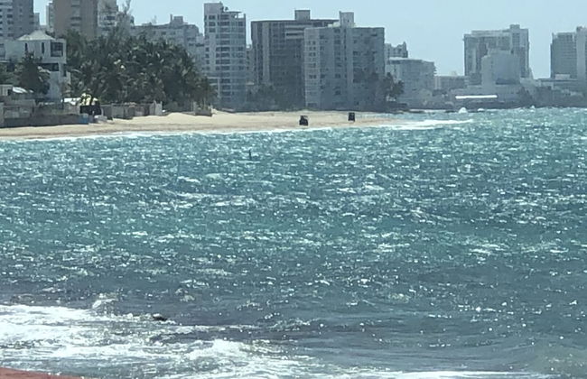 Ocean View Gorgeous 1 Bedroom Apt - Photo 74