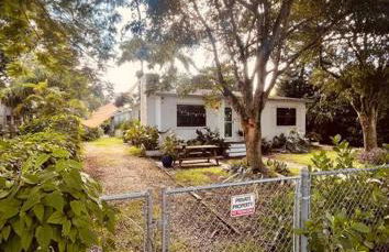 Bienvenidos a la Pequeña Selva de Legnalife - Foto 31