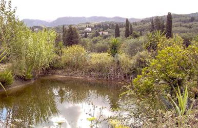 Aroggia Farm - Foto 79