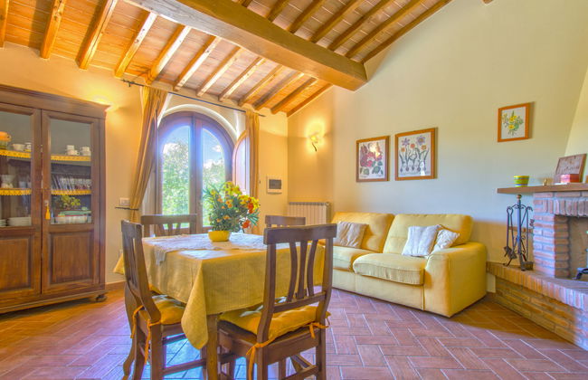 Cedri Alti - Photo 5