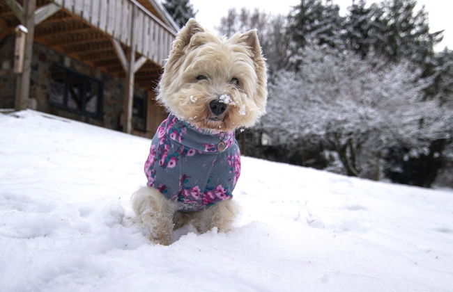 Forestside Escape Near Lake - Photo 25