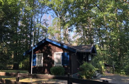 Waldhaus Möhnesee - Foto 2