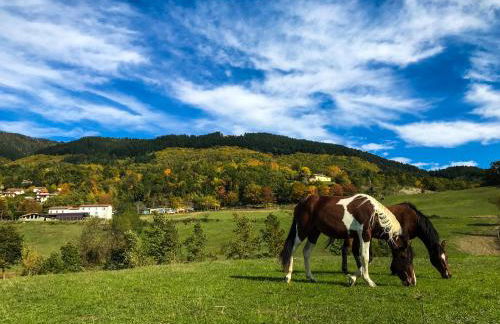 Il Borrino - Foto 16