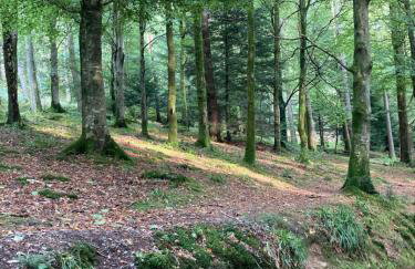 West Cumbria static caravan - Foto 39