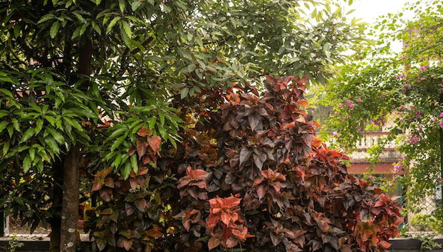 Salottino della hall