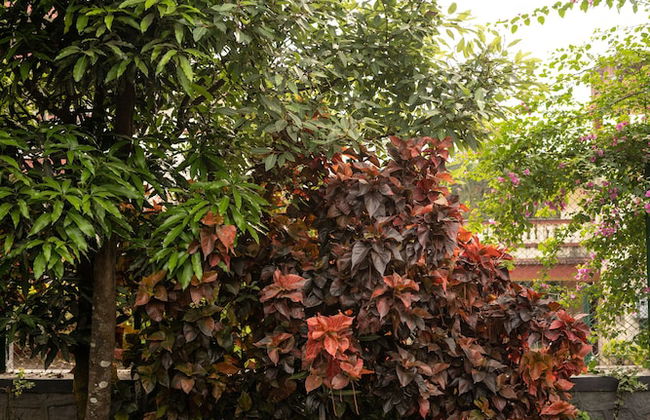 Dulwich Park View, Panchgani - Amã Stays & Trails - Foto 4