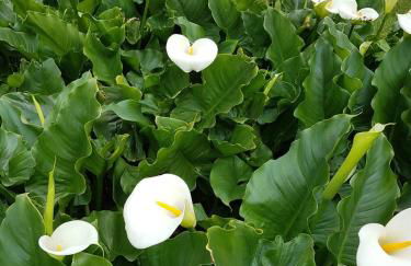 Le Gîte d’en Bas-St Valery à 15min-Équipement bébé - Foto 47