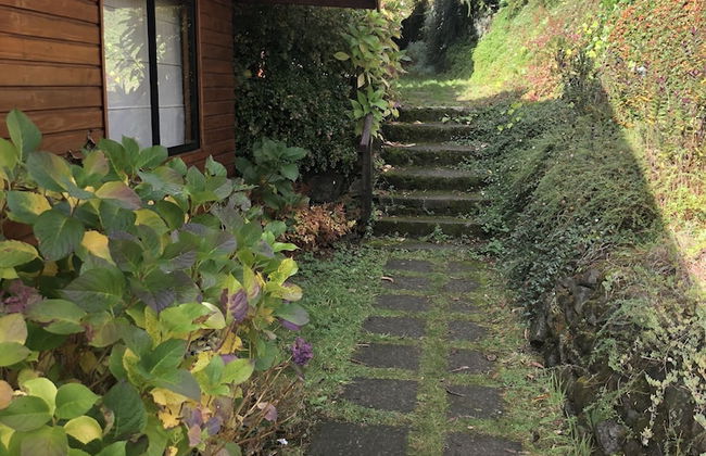 Cabañas Ruka Rayun - Foto 10