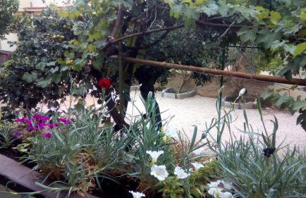 Apartmani Marija - Foto 13