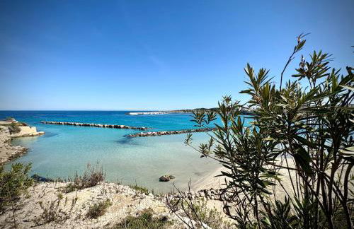 La Casa di Leda - Foto 22