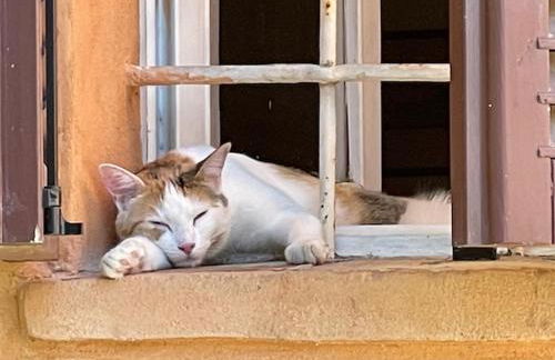 Depandance Cascina Vicentini - Foto 21