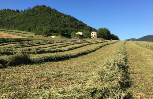 Agriturismo Popolano Di Sotto - Foto 28