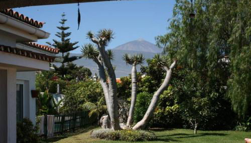 Villa Dragos - Foto 2, Garden