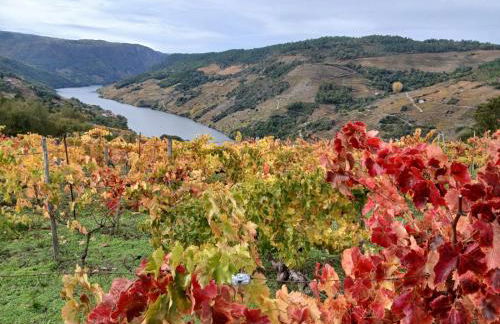 A Feitiña de Rubiacós - Foto 43