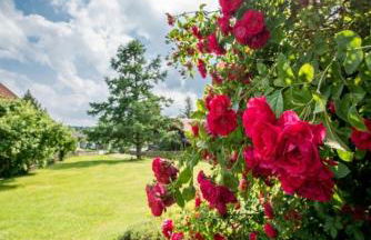 Ferienwohnung Lacherhof - Foto 13