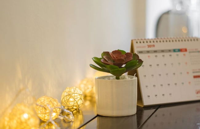 Michi House - Foto 21