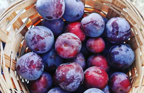 VILLA ALESSI - dimora storica - Foto 31