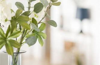 IseoLakeRental - Trivia Bellavista - Foto 14