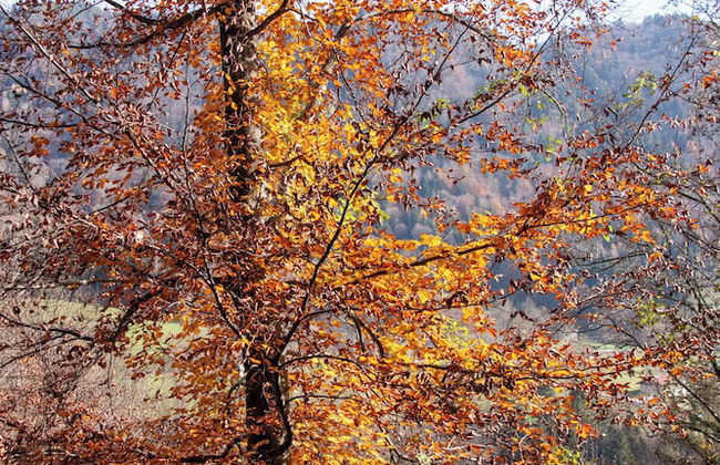 CasaZefira - Foto 38