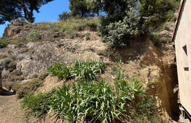 Domaine RABOLY - Beaumes de Venise - Foto 63