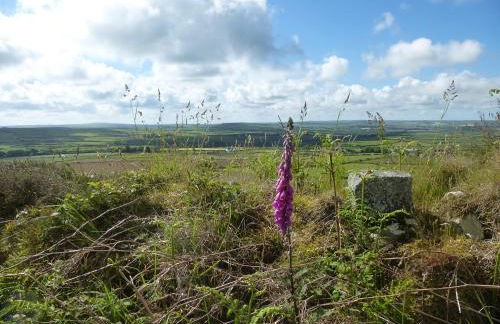 Post Office Cottage - Photo 28