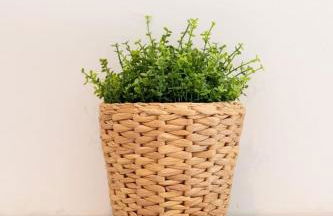 Lille Hypercentre / Gares - Beautiful duplex! - Foto 18