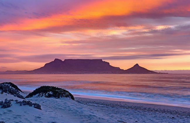 Dolphin Beach E5 - Photo 1