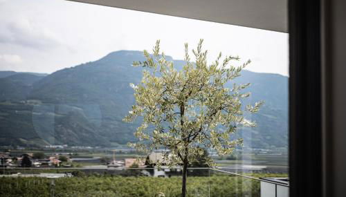 Panorama Apartment - Photo 2