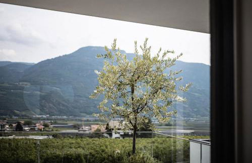 Panorama Apartment - Photo 2