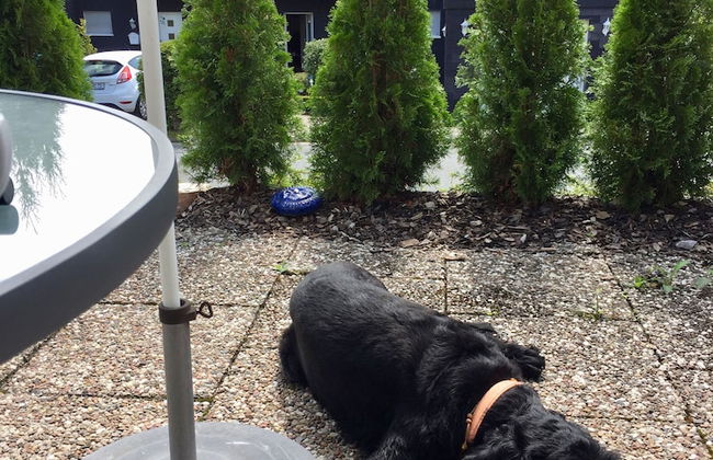 Fewo Corell - Photo 10