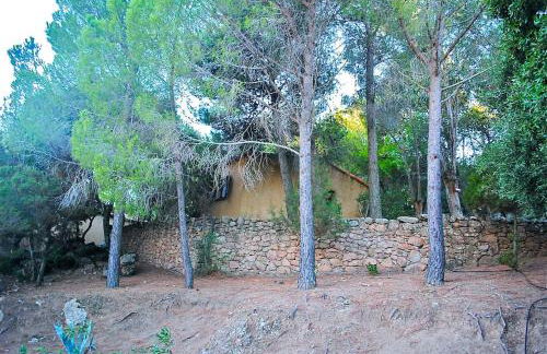 Villa RoccaPina 35 m2 - 2 - 4 people Rondinara, Bonifacio - Foto 19