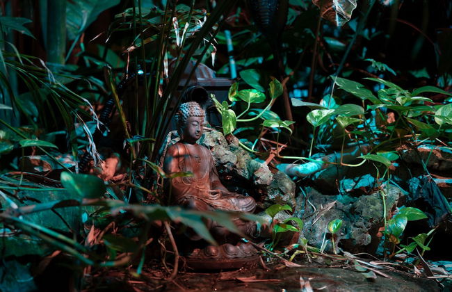 Mystic Town in the Heart of Playa - Foto 79