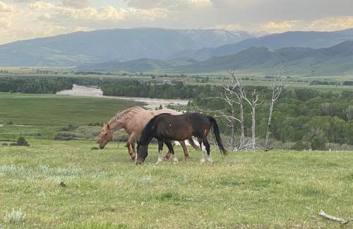 Pine Creek Cabin Livingston Montana - Foto 58