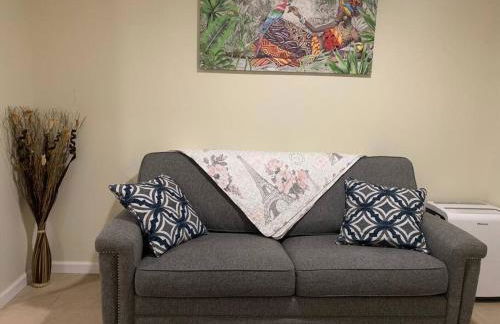 Entire Apartment Suite family singles Couples Nurses dinners business meetings - Foto 31