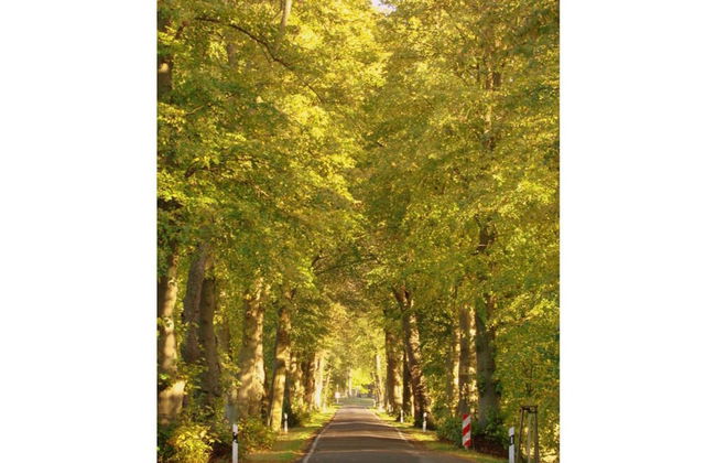 in the Estate Worker's House - Foto 11